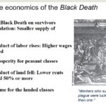 Economic Impact of the Black Death